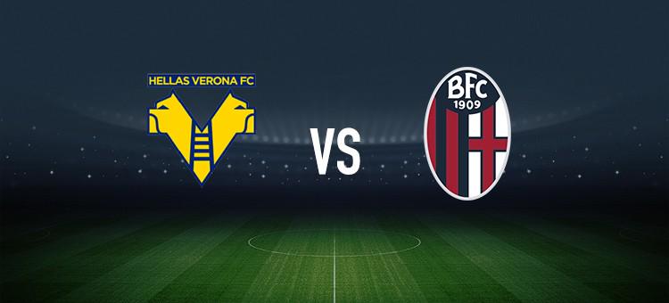 球队与球迷 球队与球迷